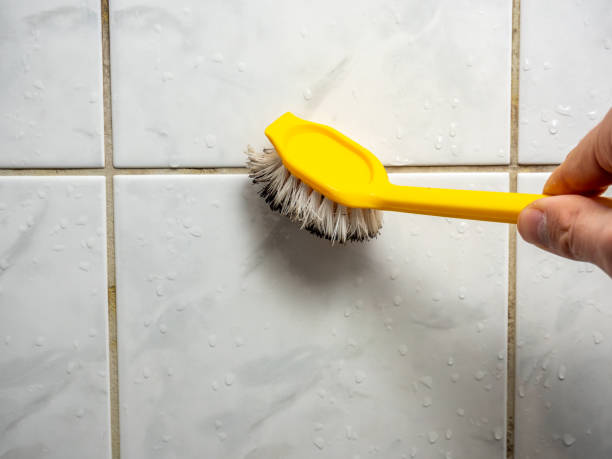 Certified Mold Removal in Dravosburg, PA