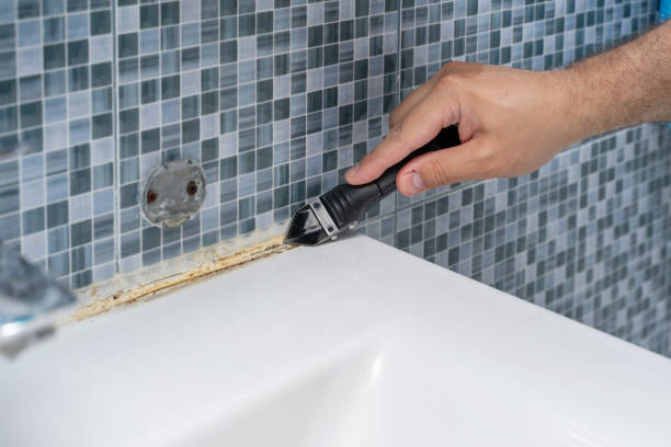 Best Mold Testing  in Dravosburg, PA